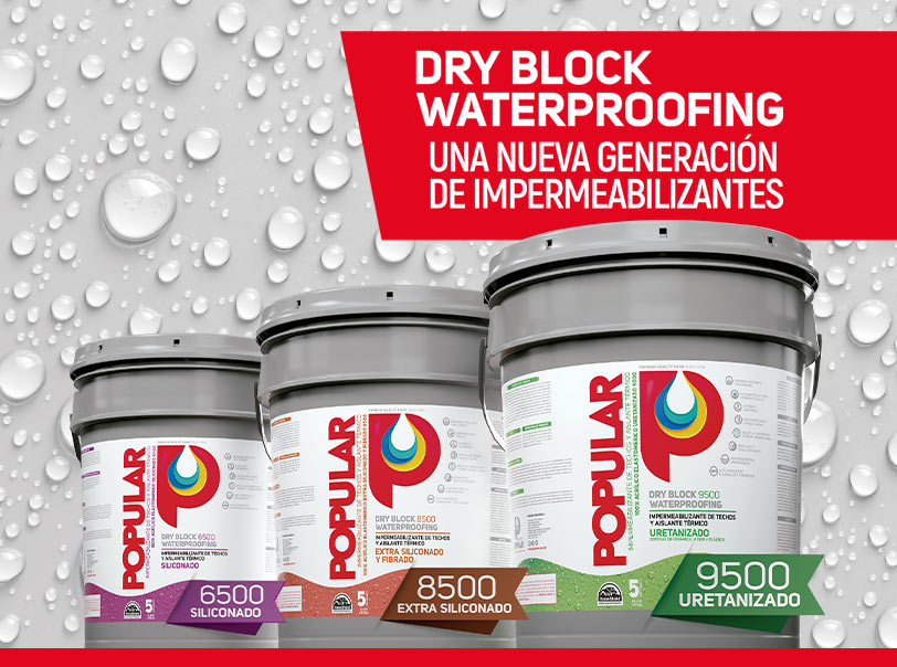 BS–PINTURAS-POPULAR–ED-95