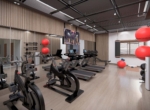 Gimnasio-(2)